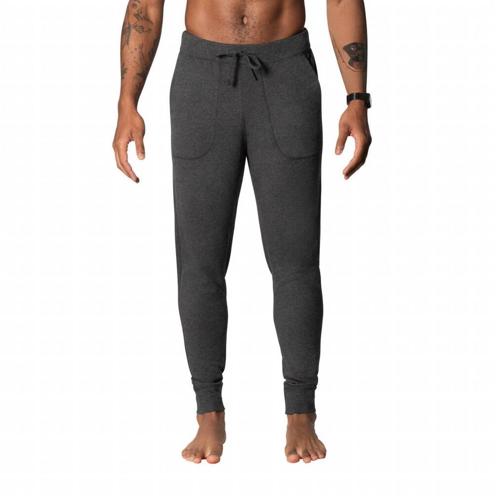 NEW SAXX 3six five lounge pants in ash grey heather
